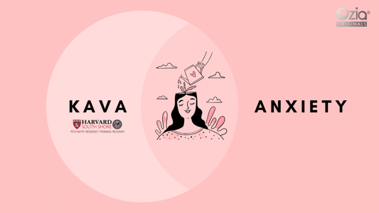 Harvard Project Recommends Kava For Generalized Anxiety Disorder
